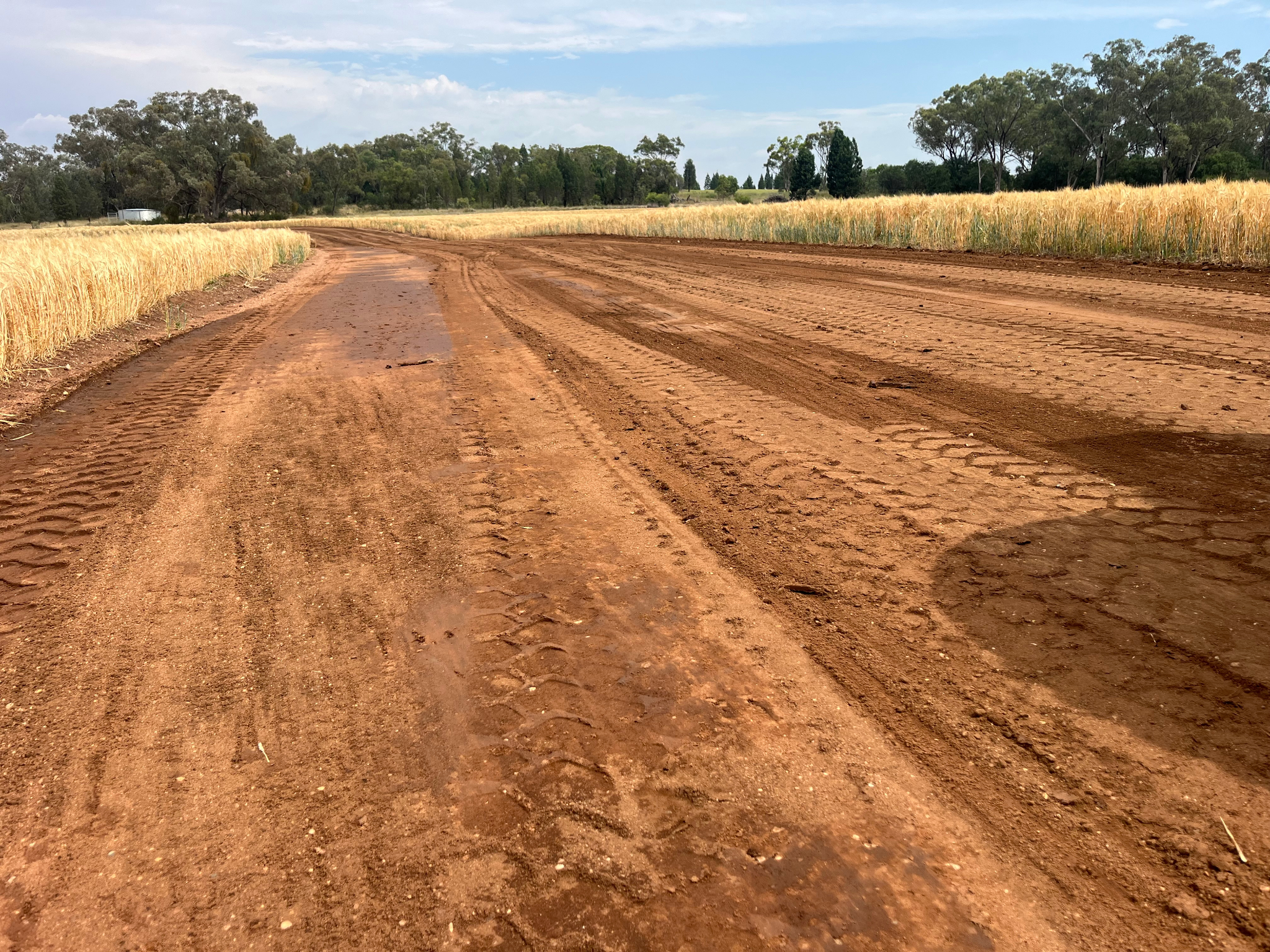 MTB Earthmoving — Recent Project